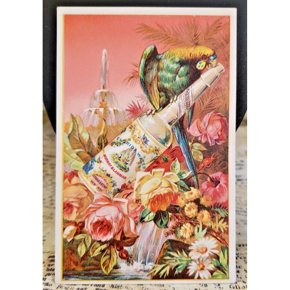 Vintage Victorian Trading Card 5" X 3"  Murray & Lanman's Florida Water Perfume